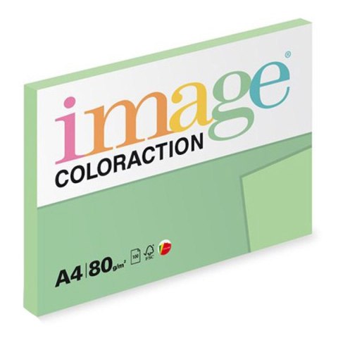 Papier kserograficzny Coloraction, Jungle, A4, 80 g/m2, jasny zielony, 100 arkusza, nadaje się do druku atramentowego Papier kserograficzny Coloraction, Jungle, A4, 80 g/m2, jasny zielony, 100 arkusza, nadaje się do druku atramentowego