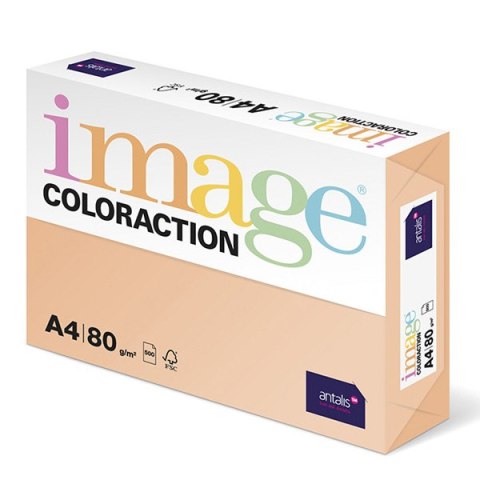 Papier kserograficzny Coloraction, Savana, A4, 80 g/m2, jasny pomarańczowy, 500 arkusza, nadaje się do druku atramentowego Papier kserograficzny Coloraction, Savana, A4, 80 g/m2, jasny pomarańczowy, 500 arkusza, nadaje się do druku atramentowego